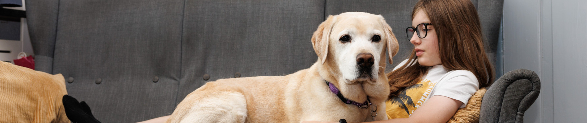 Een jongen en zijn blonde labrador liggen op de bank