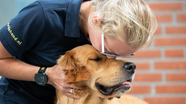 collega geeft golden retriever een knuffel