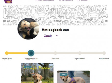 Screenshot van het online dagboekje van pup Zack