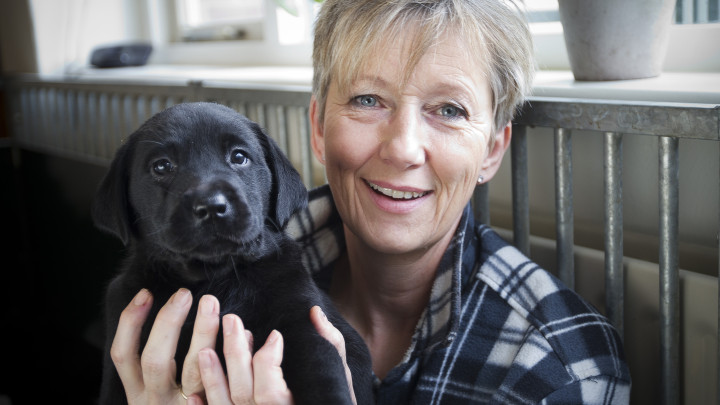 Vrouw uit puppypleeggezin heeft hun 100e KNGF-pup vast