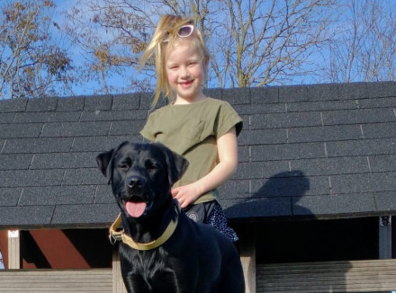 kind en zwarte hond staan samen buiten op een speeltoestel
