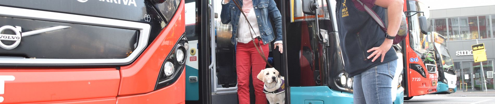 Pup Quando staat naast zijn puppypleeggezin in de deuropening van een bus en kijkt naar de PPZ-instructeur