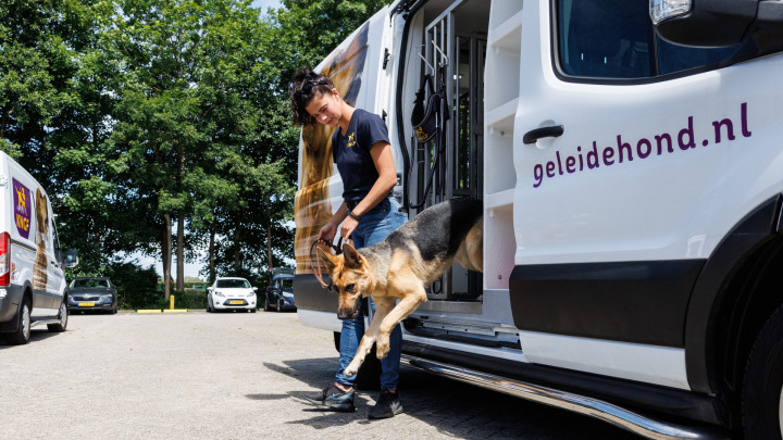 illustratie van auto van batman, een kngf-bus met hond achter het stuur, en auto van Wonder Woman
