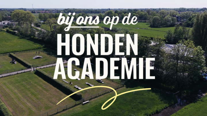 beeld van het KNGF-terrein vanuit de lucht gezien, tekst: bij ons op de Hondenacademie