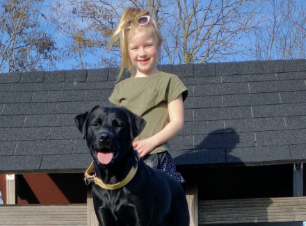 Meisje en zwarte labrador staan samen buiten op een speeltoestel