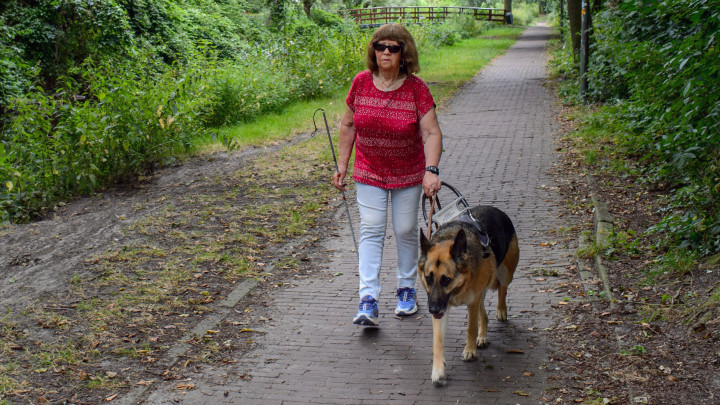 Will loopt buiten met haar geleidehond