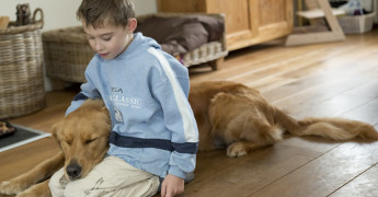 buddyhond en kind spelend op de vloer