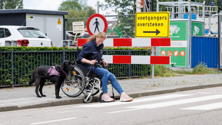 Tessa zit in een rolstoel en samen met de hond naast haar staan ze aan de rand van de stoep