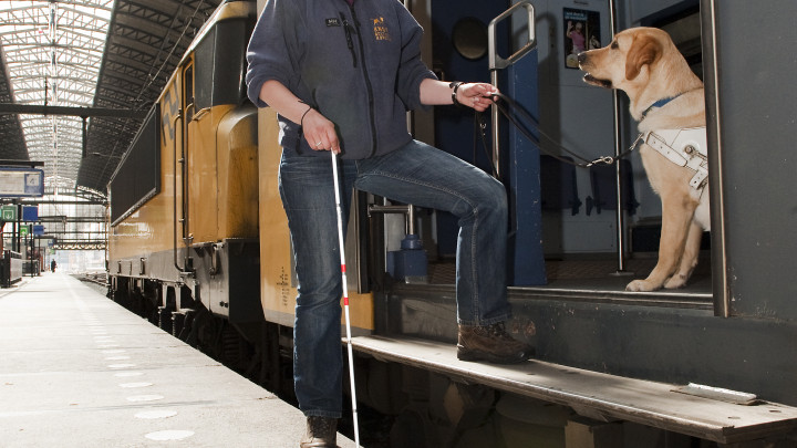 Instructeur oefent met blindengeleidehond in opleiding met het uitstappen uit een trein