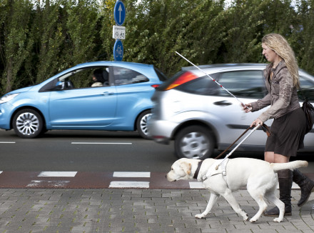 Blindengeleidehond en baas steken de weg over met op de achtergrond langsrazende auto's