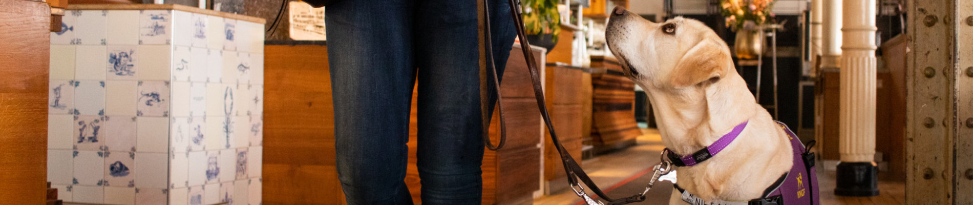 baas en geleidehond lopen samen in horeca-gelegenheid