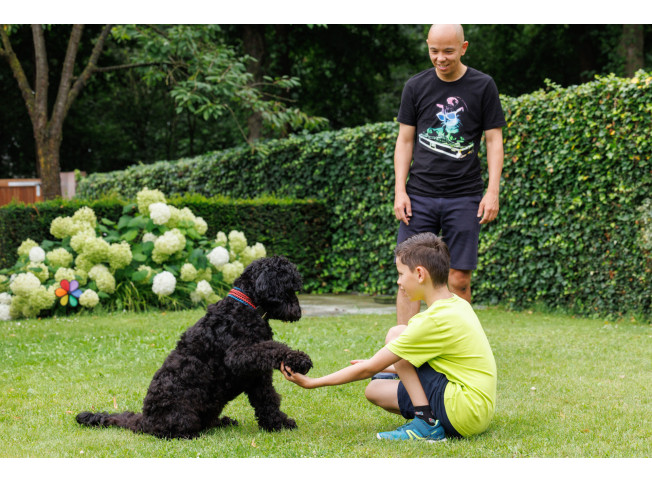 Zoontje speelt met de hond