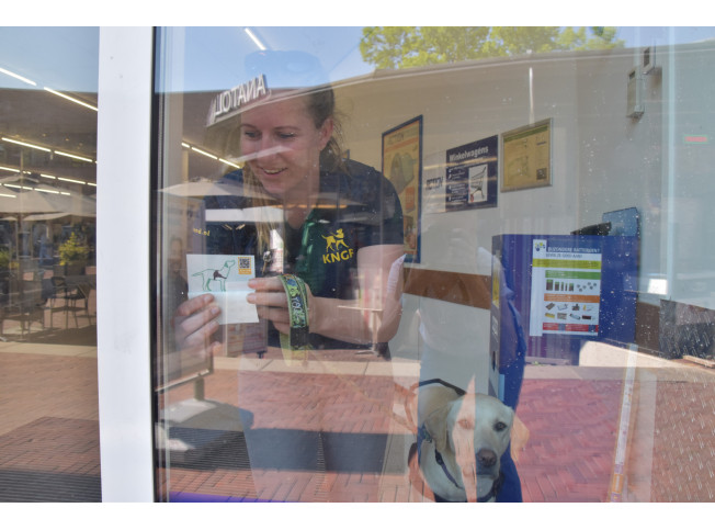 KNGF-trainer en hond plakken een sticker op de deur