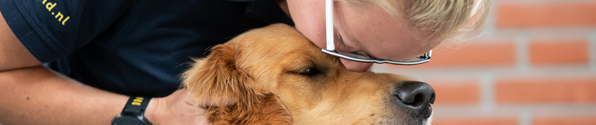 collega geeft golden retriever een knuffel