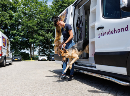 illustratie van auto van batman, een kngf-bus met hond achter het stuur, en auto van Wonder Woman