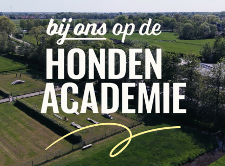 beeld van het KNGF-terrein vanuit de lucht gezien, tekst: bij ons op de Hondenacademie