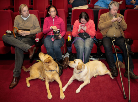 4 mensen en twee geleidehonden zitten in de bioscoop