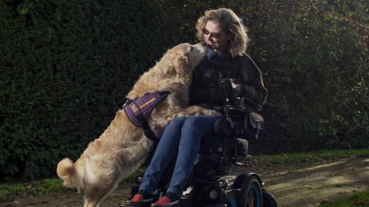Sandra zit in haar rolstoel buiten en golden retriever babbe staat met haar voorpoten op haar schoot en snuffelt lief aan haar gezicht