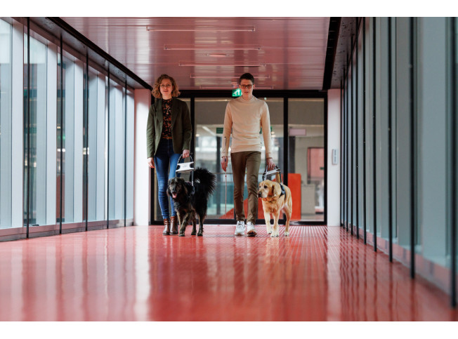 Tom en Femke lopen met hun hond over een gang