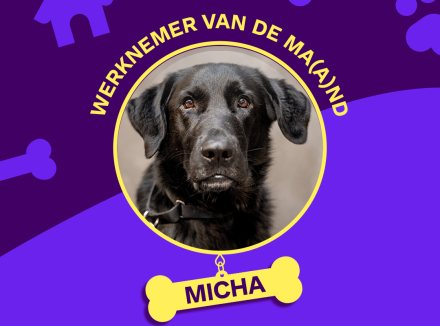 Portretfoto van Micha