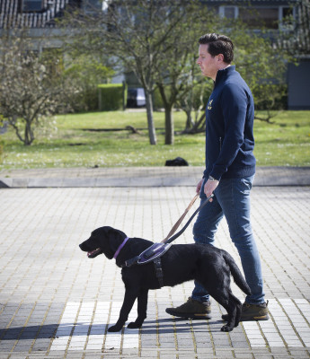 Trainer loopt met hond over straat