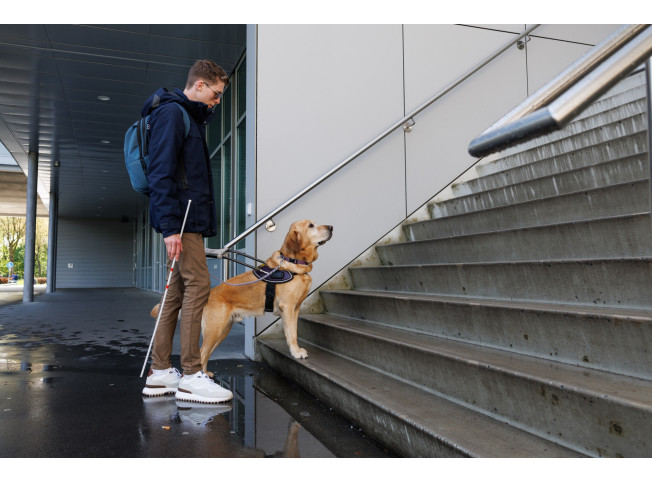 Tom staat met zijn geleidehond buiten onderaan een trap