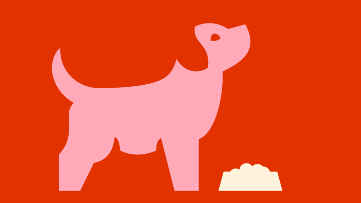 illustratie van hond en voerbak