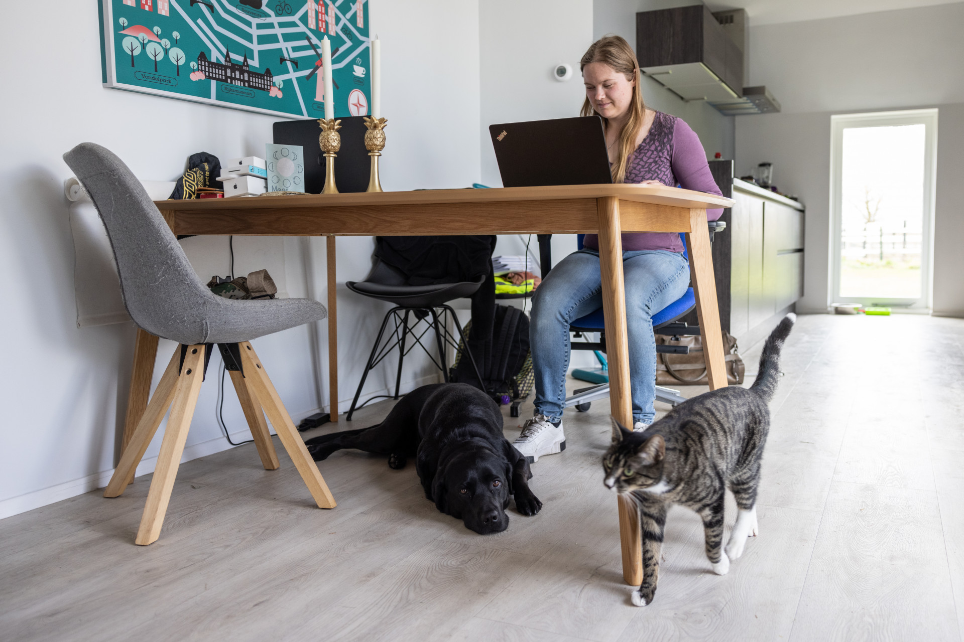 Anna achter de computer met blindengeleidehond Roos aan haar voeten en een kat die voorbij loopt