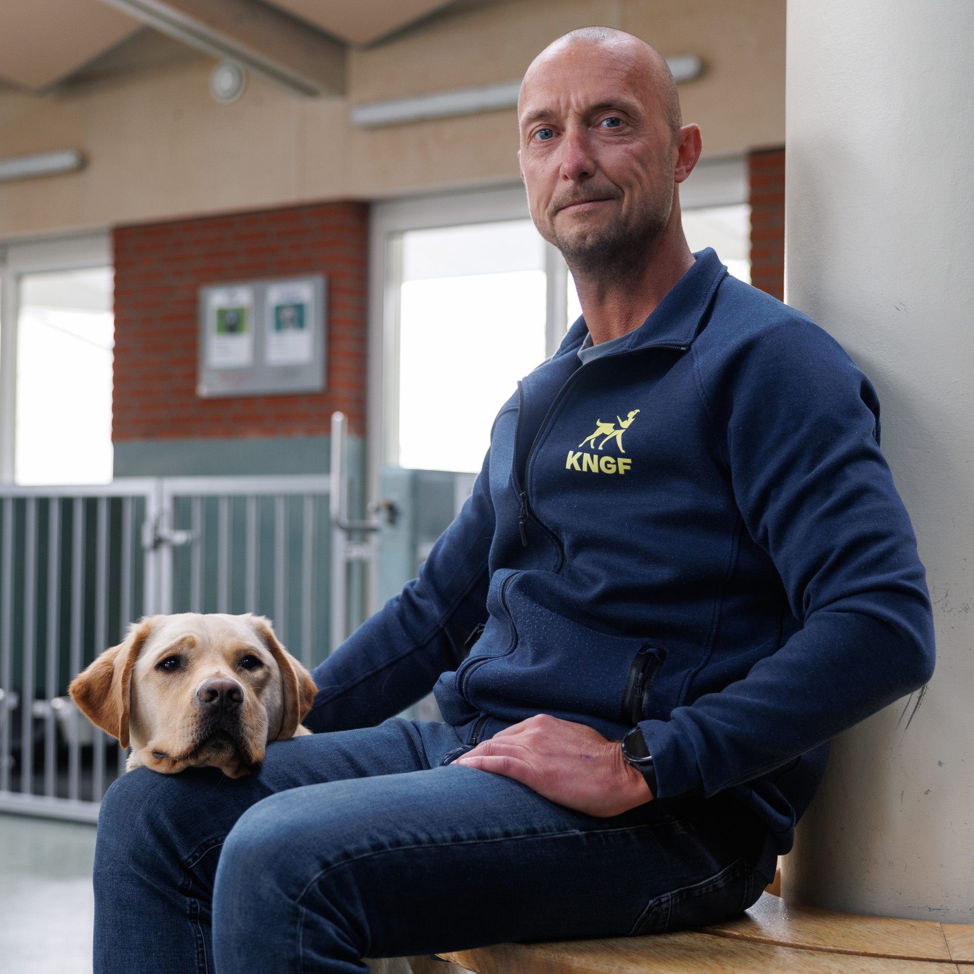 Zoveel mogelijk honden opleiden