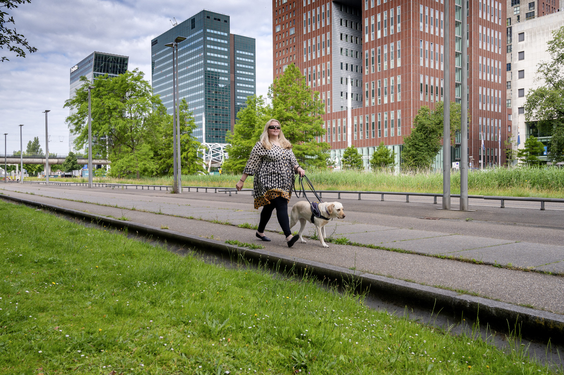 willemijn en geleidehond lopen op straat