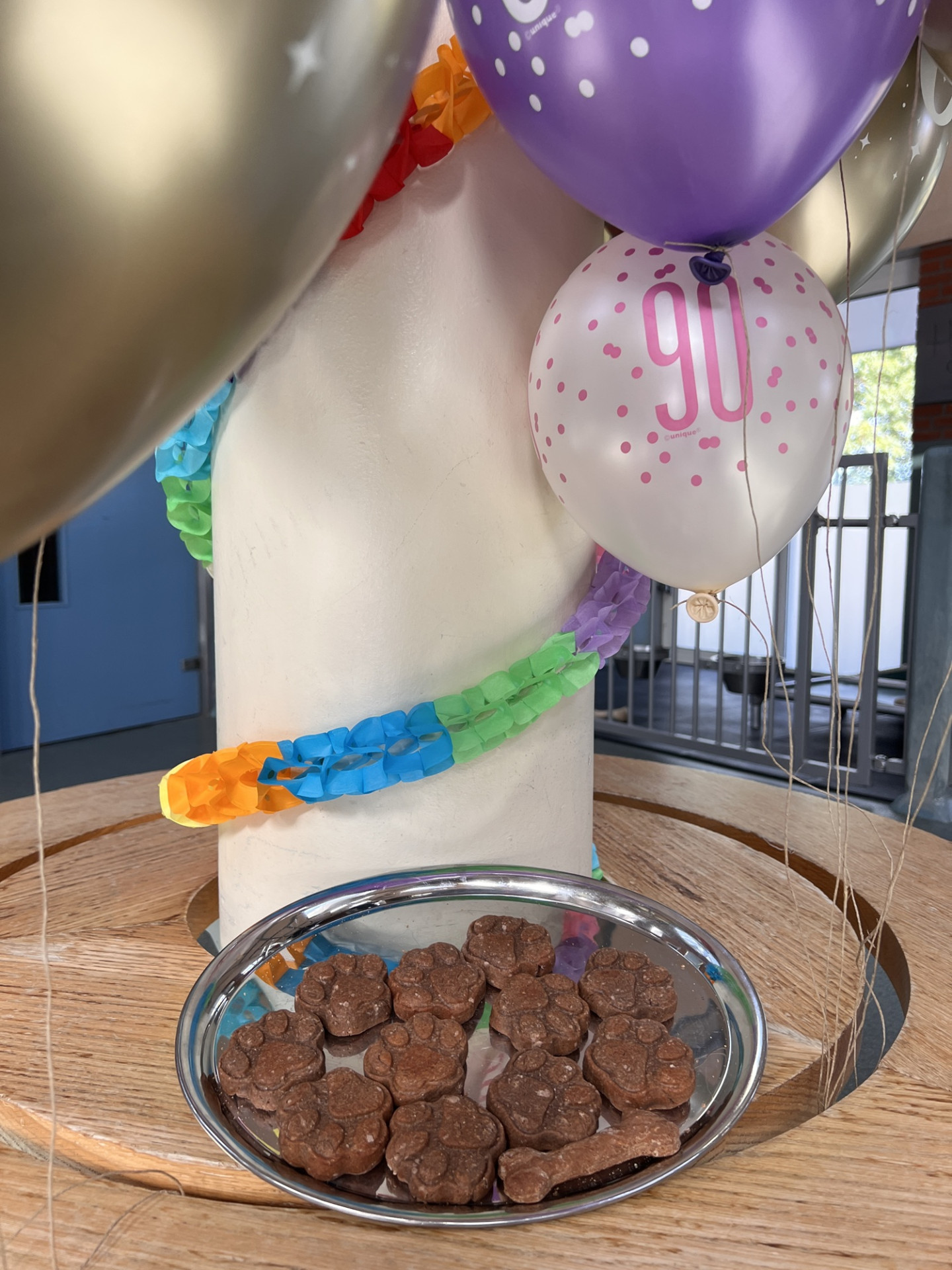dienblad met hondenkoekjes