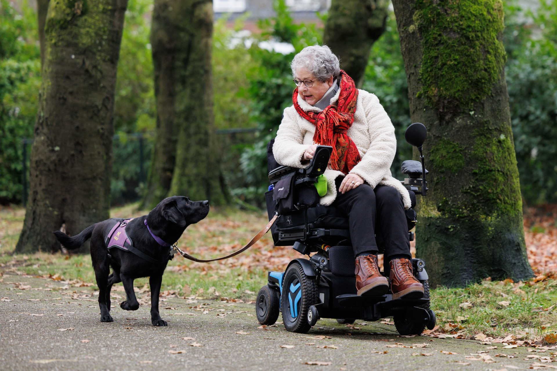 Annette in een rolstoel met haar assistentiehond Nura buiten