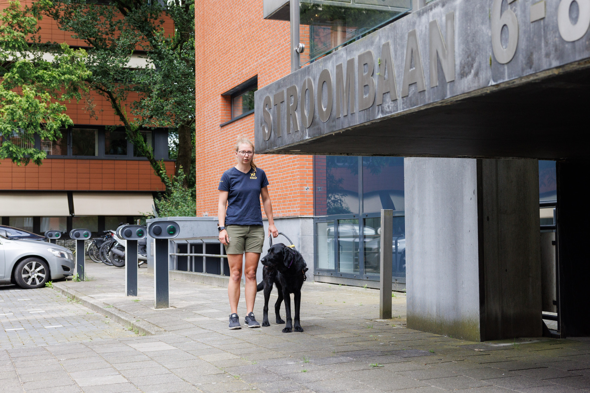 Anna loopt bijna tegen een hoogte-obtakel aan