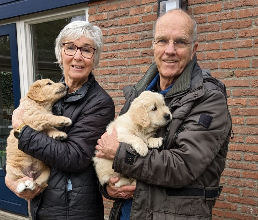 Fokgastgezin Versteeg met twee golden pups in hun armen