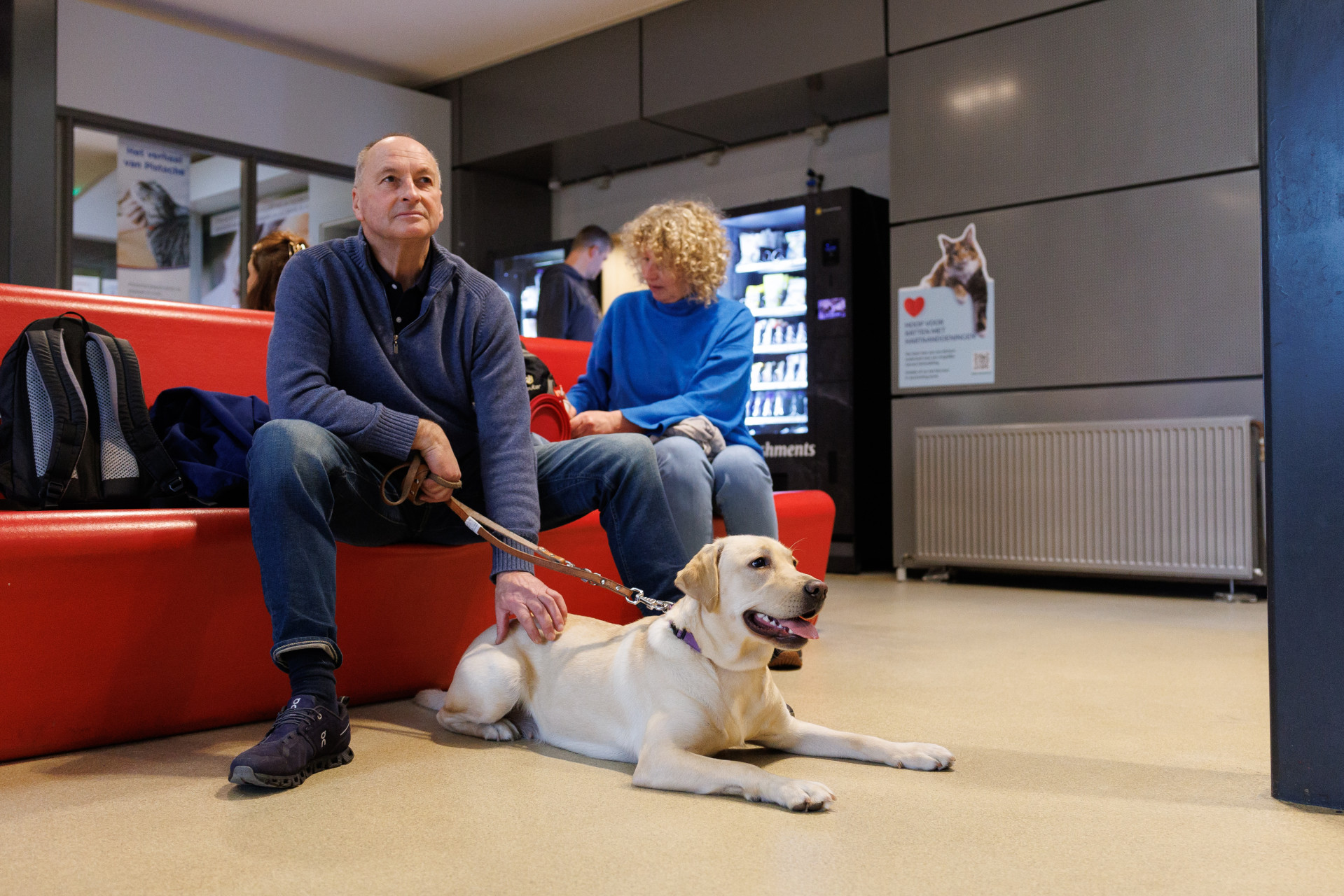 blonde hond ligt rustig te wachten met zijn pleegbaas in de wachtruime