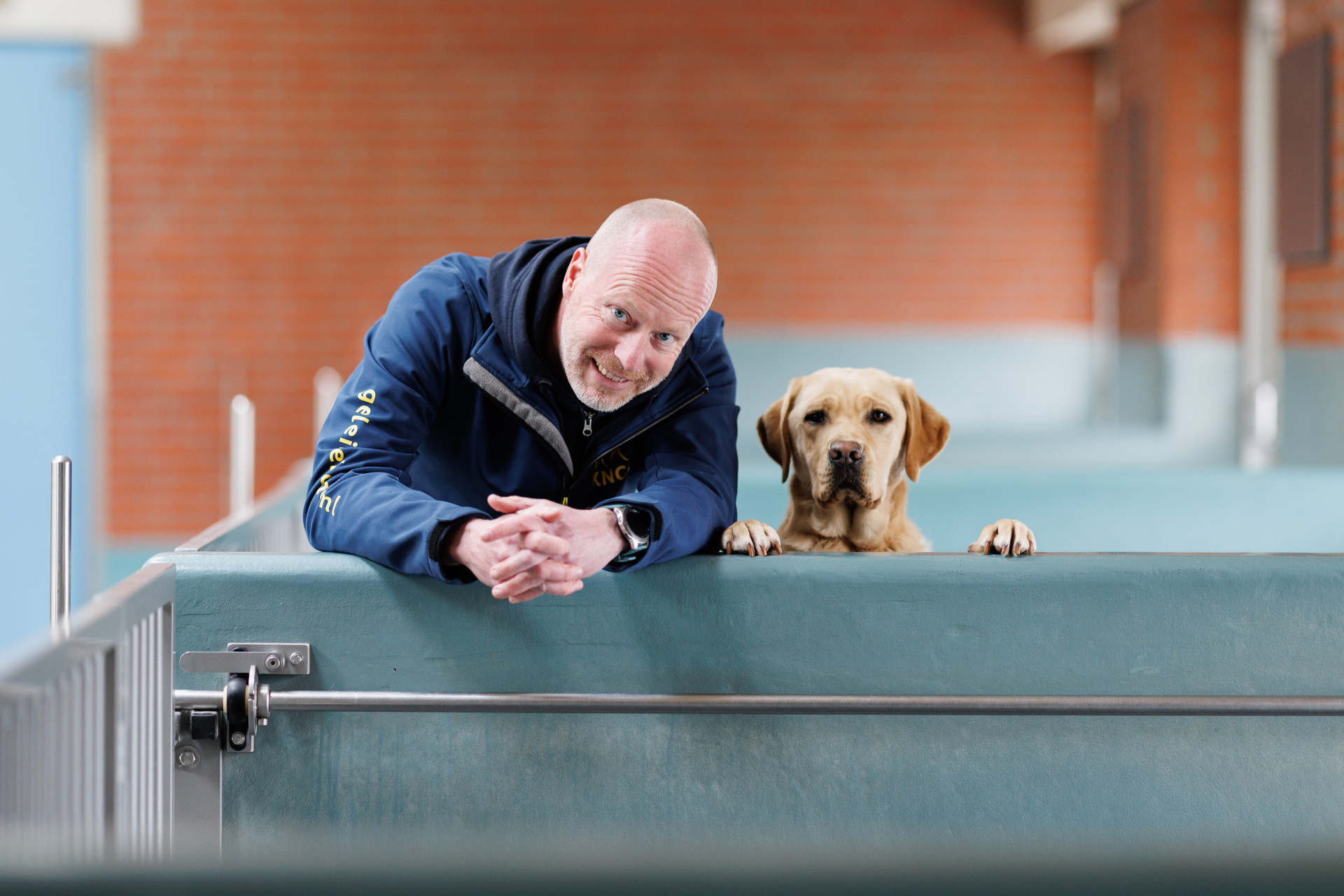 Collega ronald en een labrador kijken samen over een van de muurtjes in de kennel