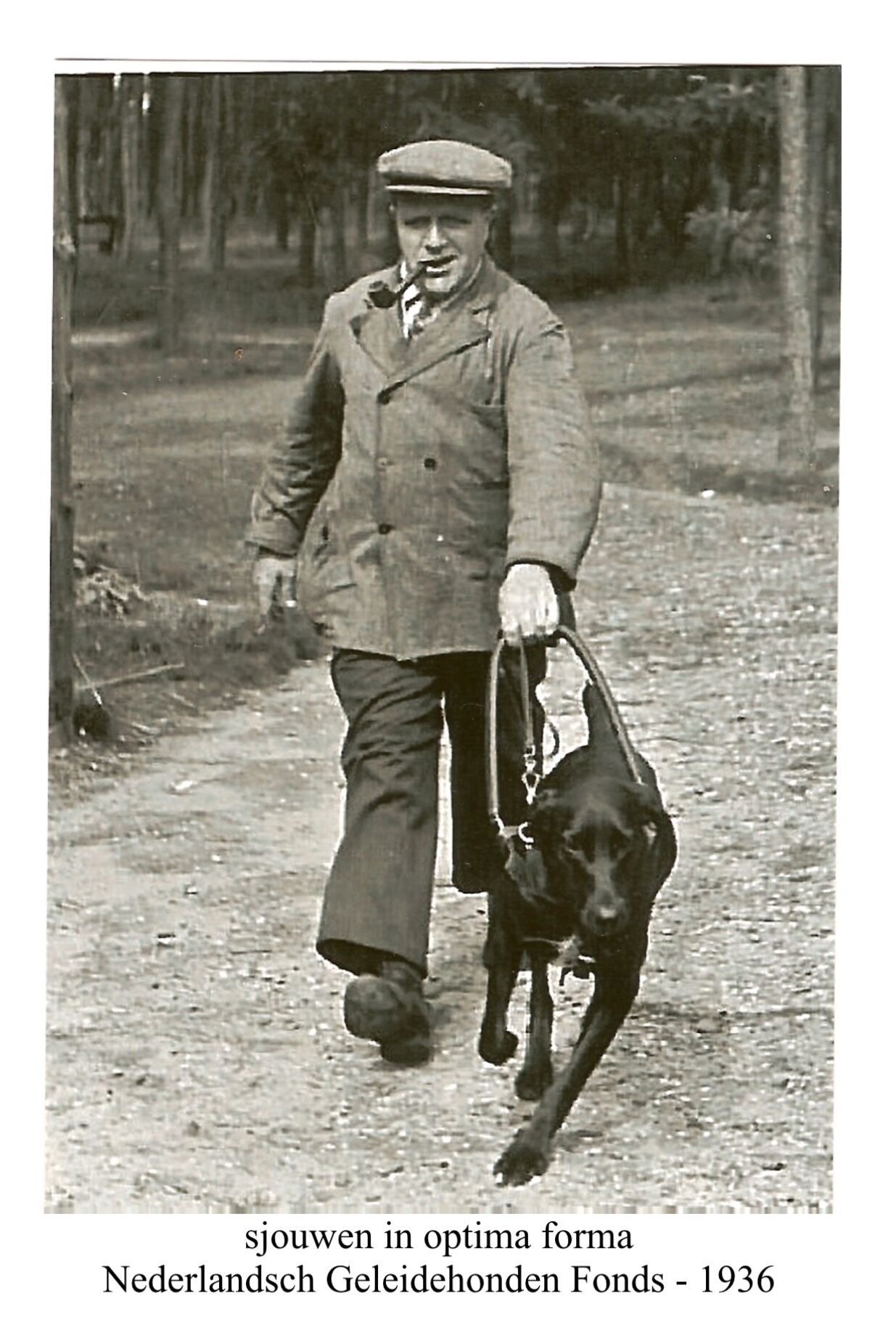 historische zwart-wit-foto met man en hond in tuig die flink trekt