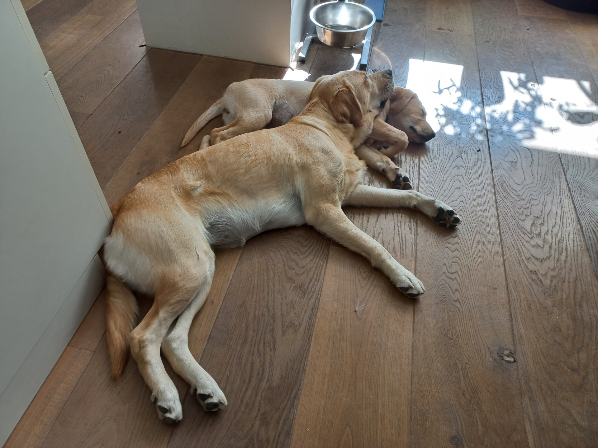 Zosja en Zomer samen