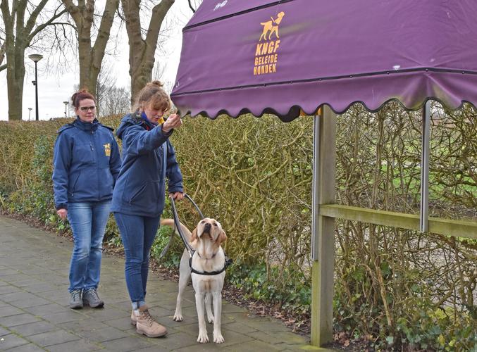 Nicole wijst de hond op de luifel als hoogte obstakel