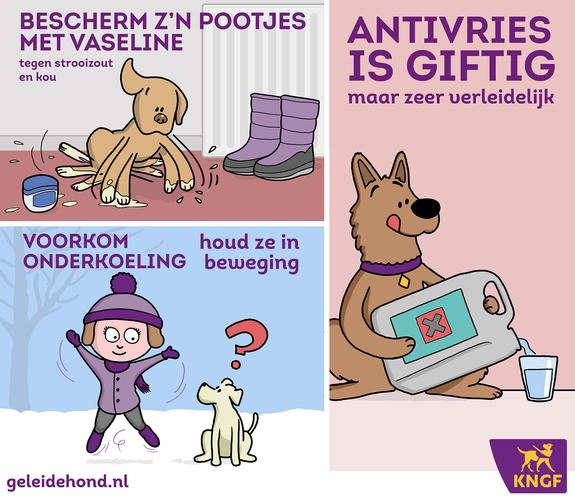 illustratie van 3 tips uit het artikel