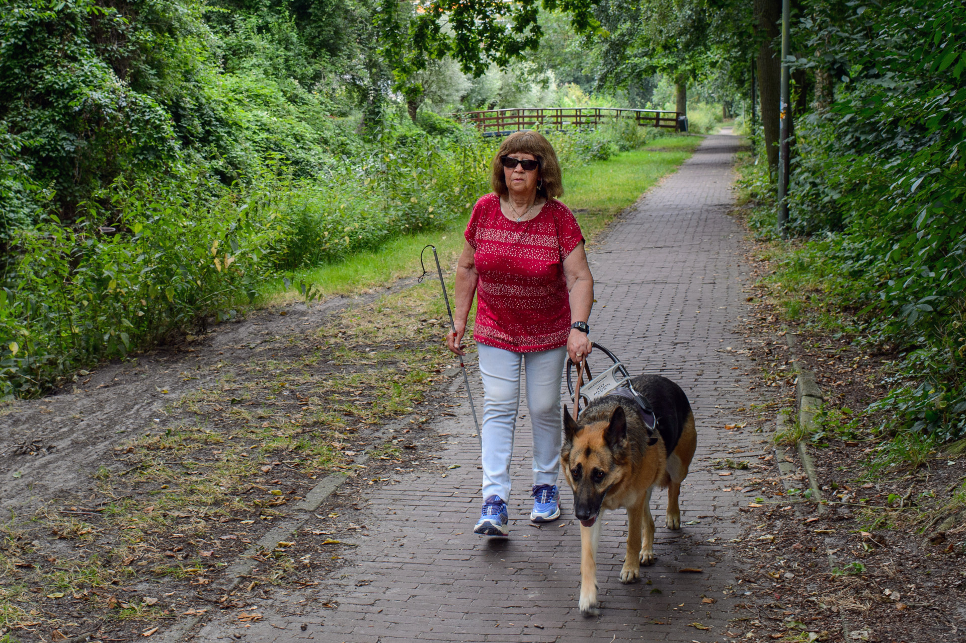 Wil en haar geleidehond Kate wandelen in het park