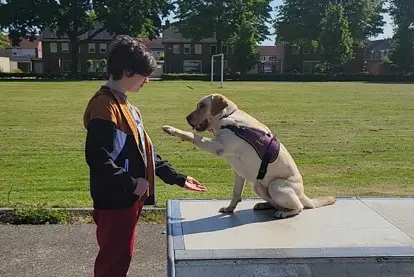 Tobias en zijn assistentiehond voor kinderen Fido