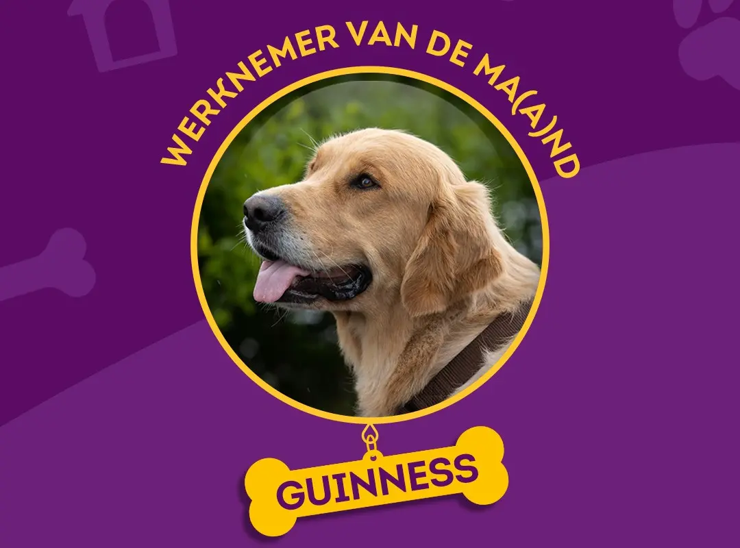 Portret foto van Guiness met een paarse achtergrond en de naam in een botje als hanger