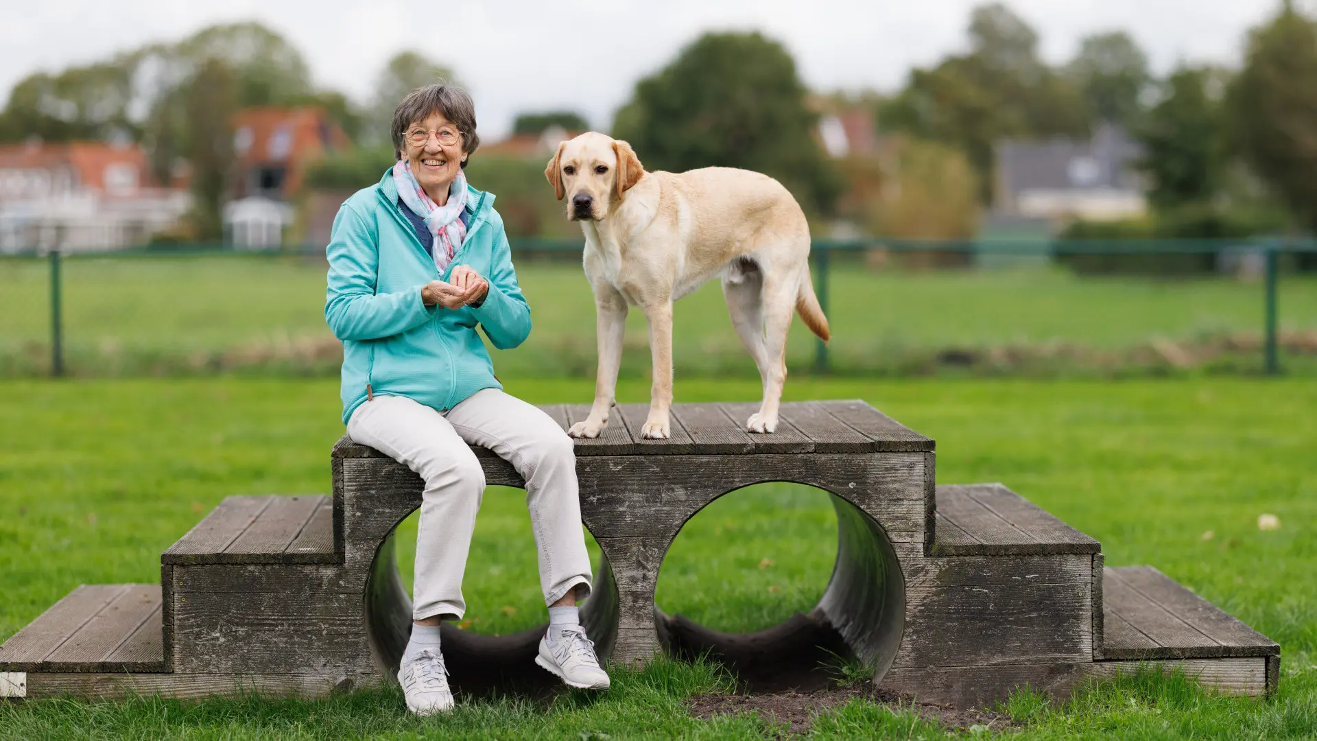 Corrie zit op een speeltoestel voor honden met naast haar een blonde labrador