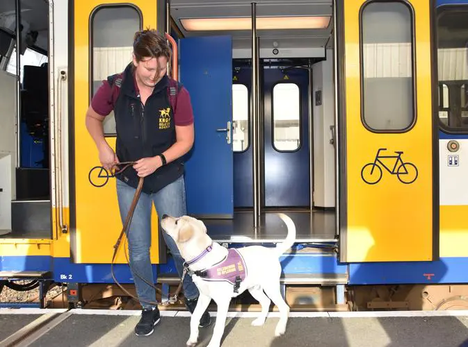 Pup Quando aan de hand van een KNGF trainster bij het oefenen met het instappen van een trein