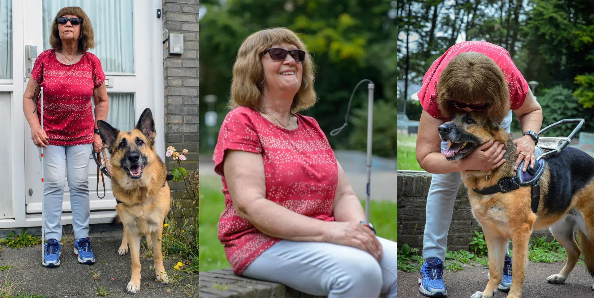 combinatie van 3 afbeeldingen van wil en haar geleidehond, herder Kate