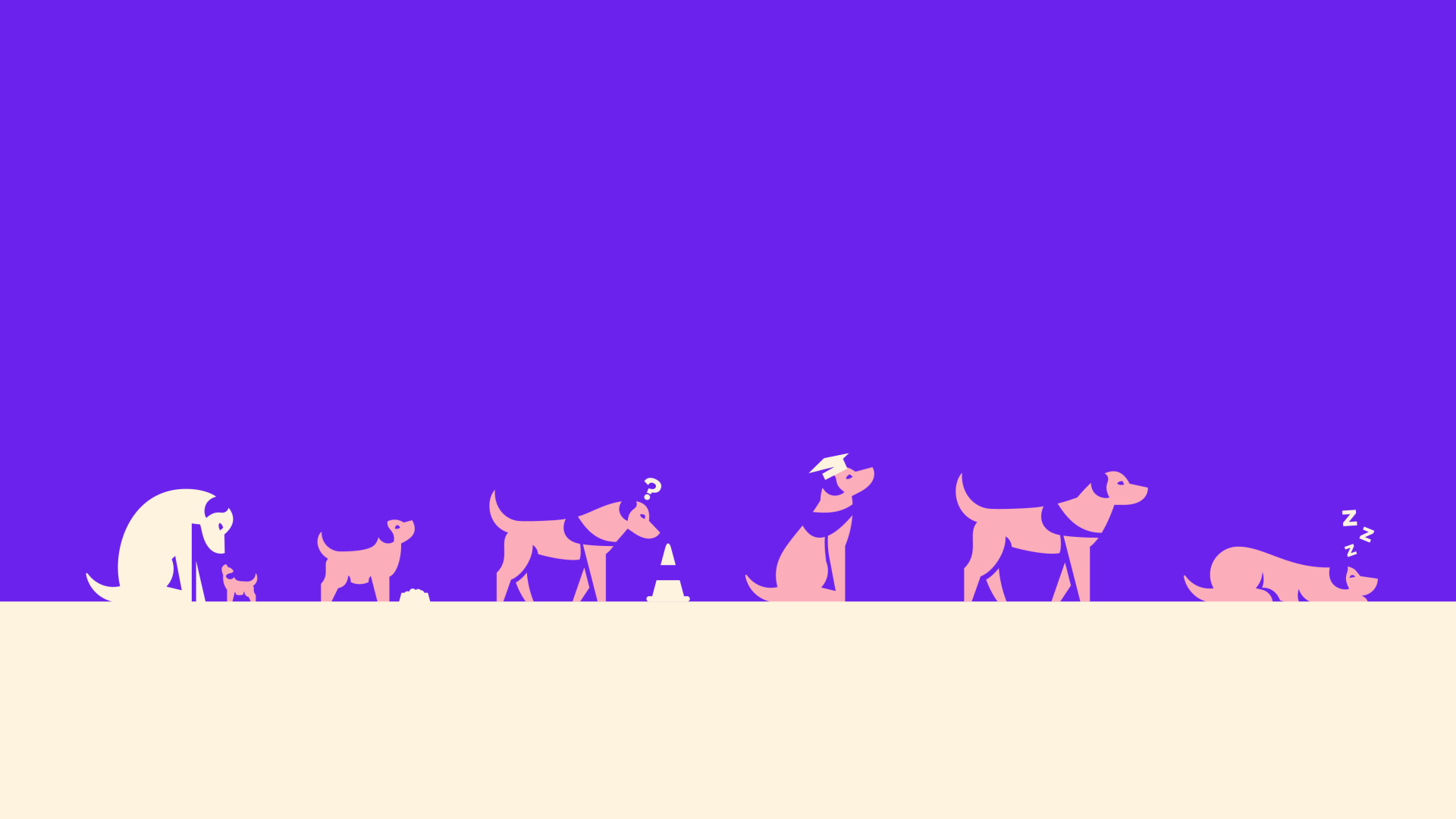 grafische weergave van de levensloop van onze honden