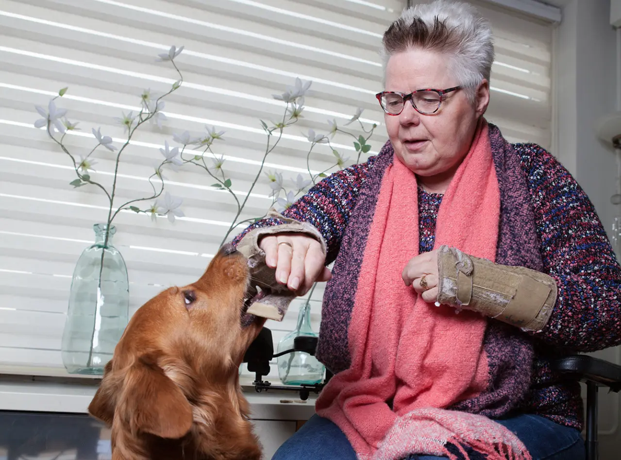 Assistentiehond Bizzy helpt Marjanne met afdoen brace