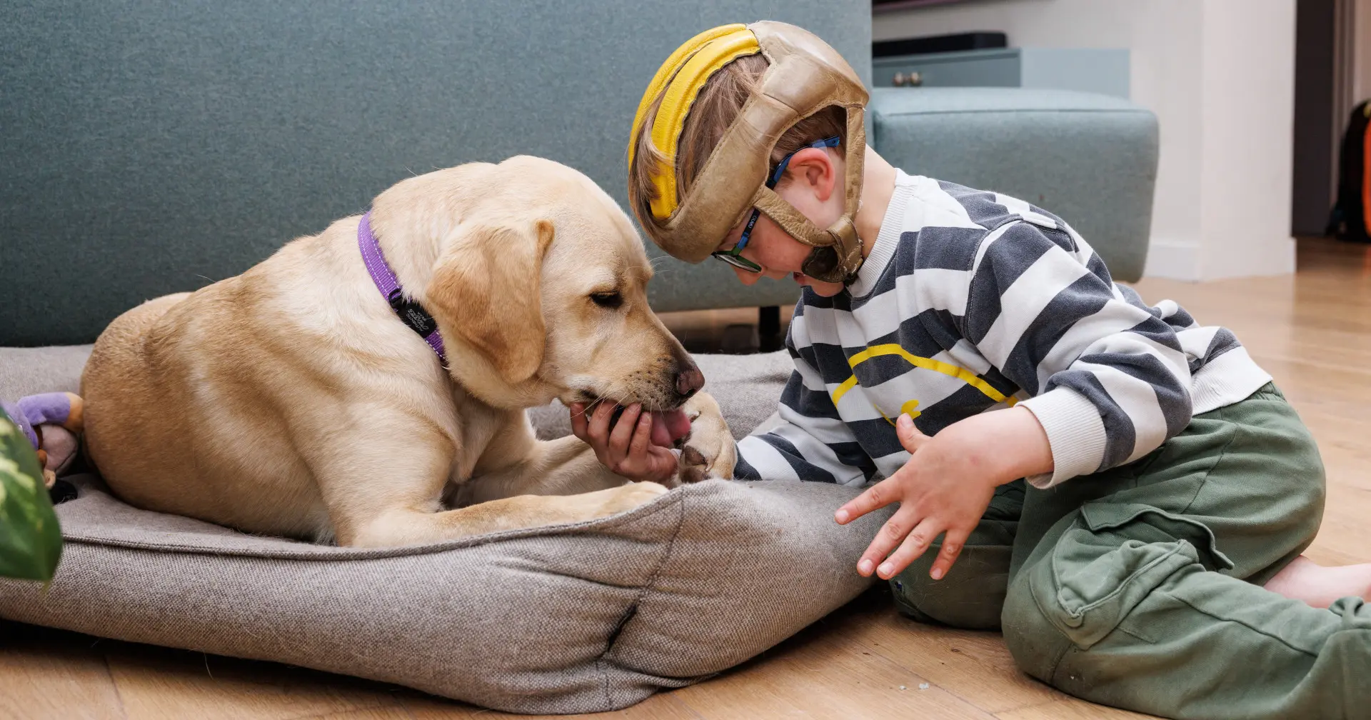 Hulphond Rocky ligt op zijn mand en speelt samen met Seppe
