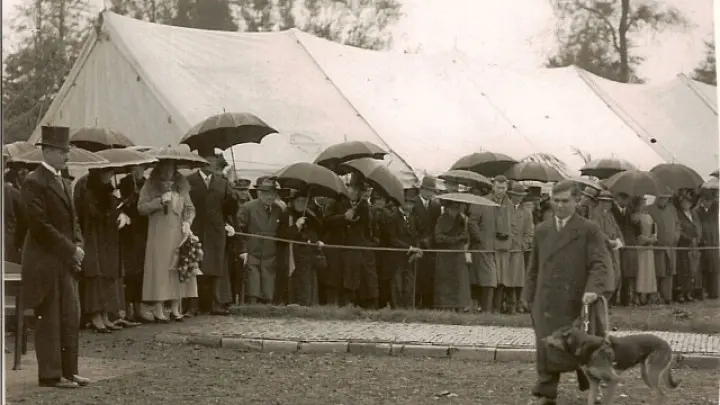 De eerste trainers - ware pioniers